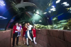 Sea Life Hannover