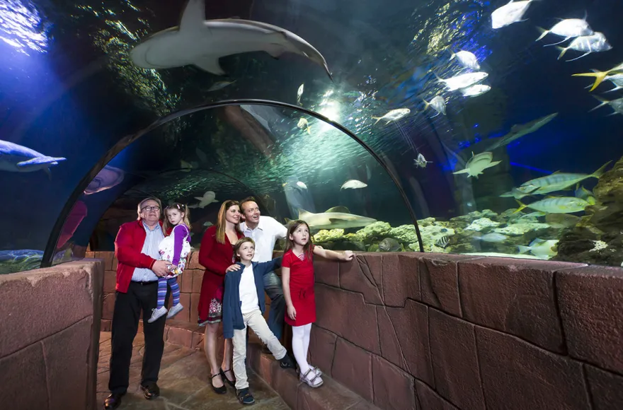 Sea Life Hannover (1 EW + 1 Kleinkind)