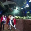 Sea Life Hannover (Kinder-Ticket)