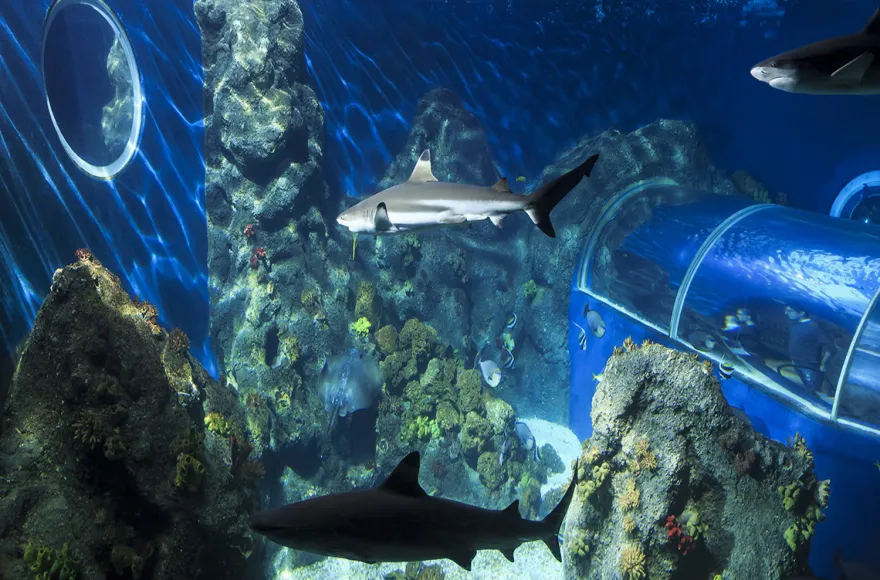 Sea Life Konstanz