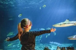 Sea Life München (1 EW + 1 Kleinkind)