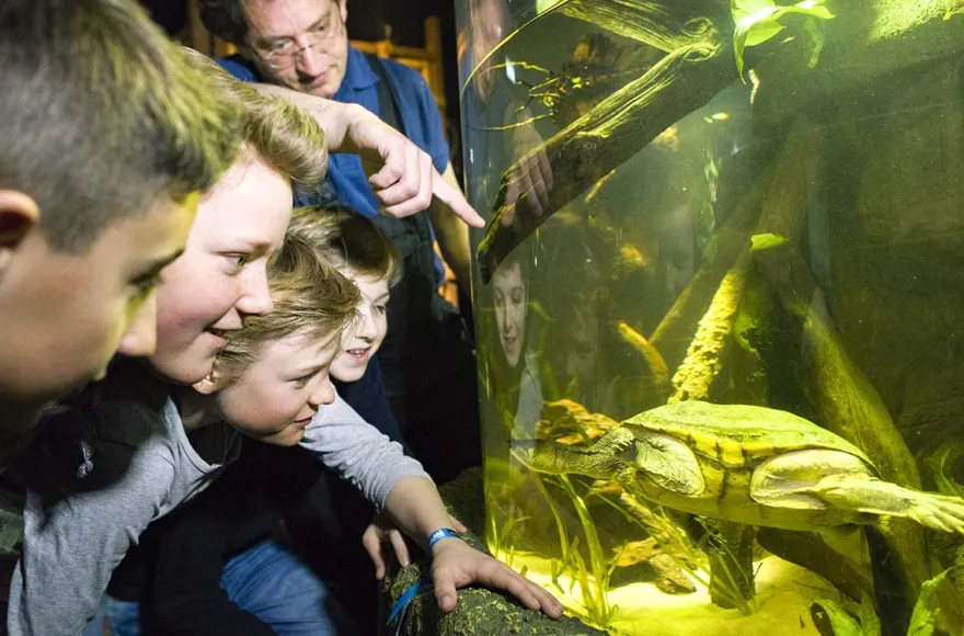 Sea Life München (Kinder-Ticket)