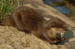 Sea Life Oberhausen