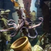 Sea Life Oberhausen (Kinder-Ticket)