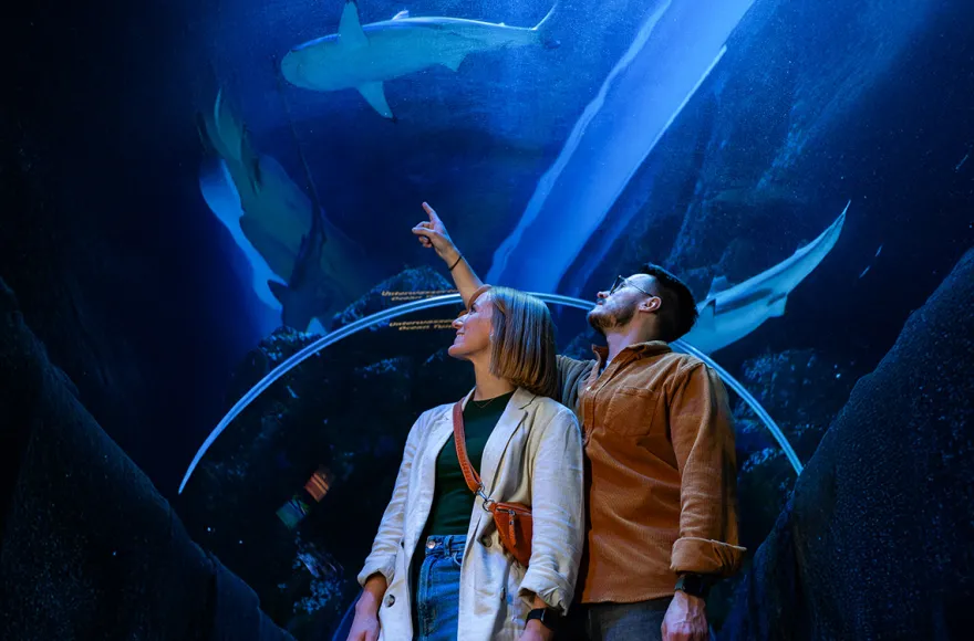 Sea Life Oberhausen (Kinder-Ticket)