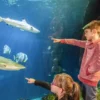 Sea Life Speyer