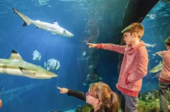 Sea Life Speyer