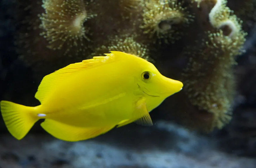 Sea Life Speyer
