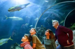 Sea Life Speyer