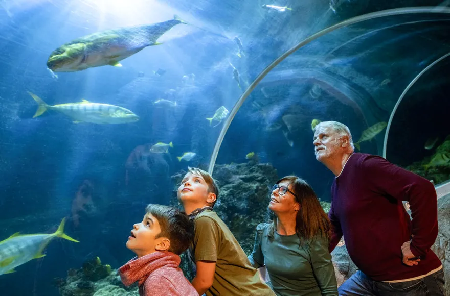 Sea Life Speyer
