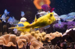 Sea Life Speyer