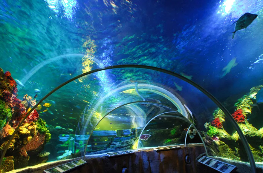 Sea Life Timmendorfer Strand