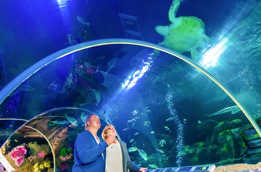 Sea Life Timmendorfer Strand