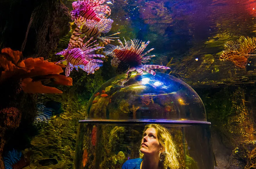 Sea Life Timmendorfer Strand