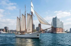 Segeln Hamburg mit Brunch für 2 (Hauptsaison)