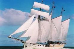 Segeln Hamburg mit Brunch (Nebensaison)