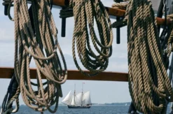 Segeln Kiel (zur Kieler Woche)
