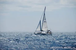 Segeln Tagestörn