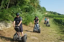 Segway Tour durch Jois