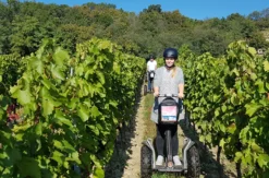 Segway Tour durch Jois