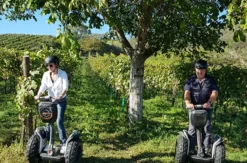 Segway Tour durch Jois