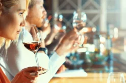 Sensorik Weinseminar im Ahnensaal Eltville