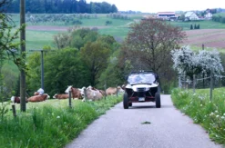 Side by Side Buggy fahren (8 Stunden)