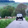Side by Side Buggy fahren (4 Stunden)