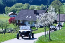 Side by Side Buggy fahren (4 Stunden)