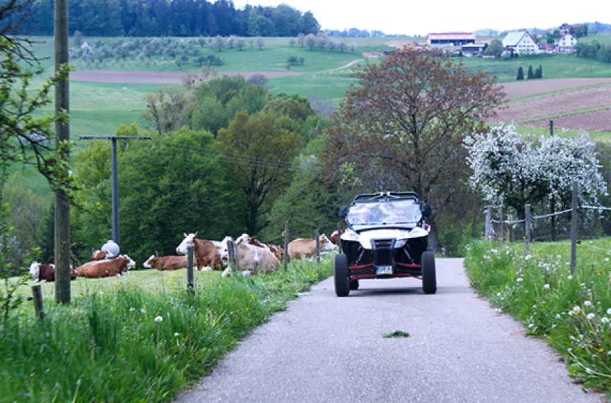 Side by Side Buggy fahren (2 Stunden)
