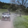 Side by Side Buggy Schwarzwald-Tour Meißenheim (5 Std.)