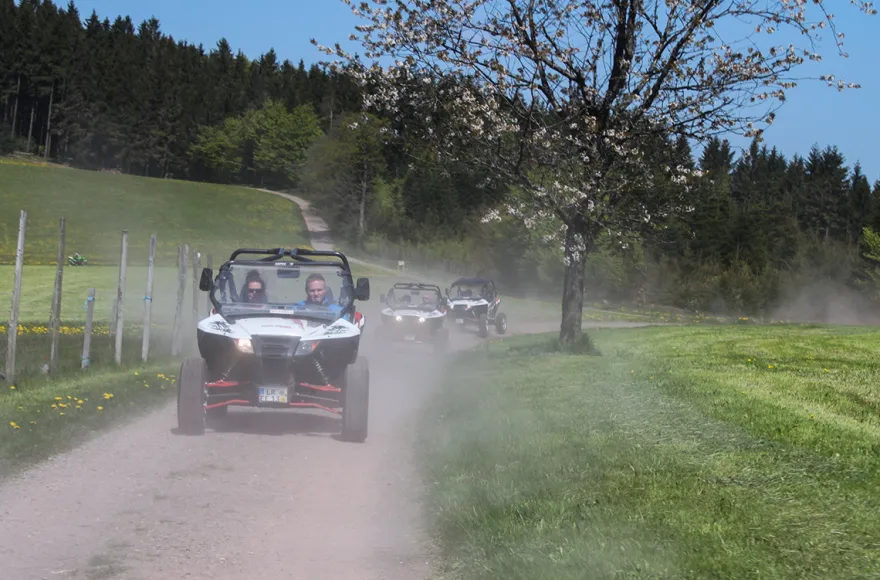 Side by Side Buggy Schwarzwald-Tour Meißenheim (5 Std.)