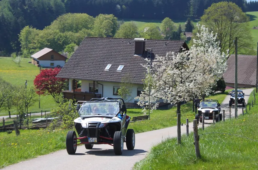 Side by Side Buggy Schwarzwald-Tour Meißenheim (5 Std.)