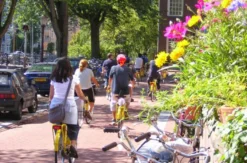 Sightseeing-Radtour durch Amsterdam für 2