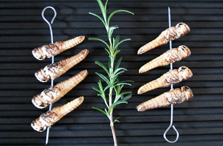 Snack Insects Kochset für Zuhause
