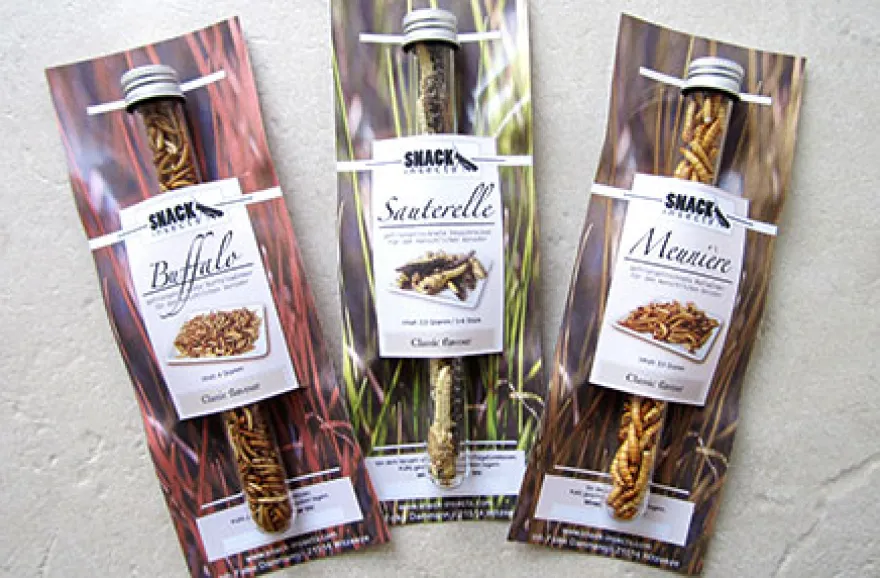 Snack Insects Kochset für Zuhause
