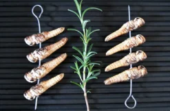 Snack Insects Kochset für Zuhause Österreich