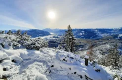 Sonnenaufgangswanderung mit Frühstück Thiersee