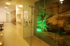 Spa & Massage in Steyr