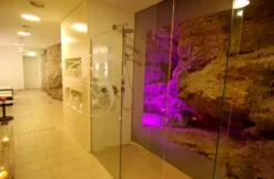 Spa & Massage in Steyr