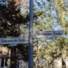 Stadtführung Berlin Afrikanisches Viertel