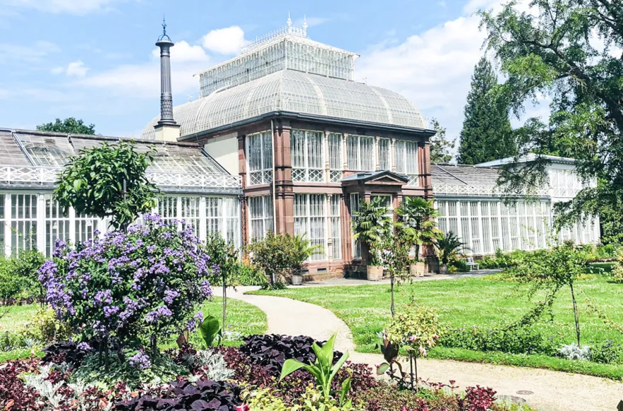 Stadtkrimi Kassel