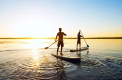 Stand Up Paddling Geisenheim
