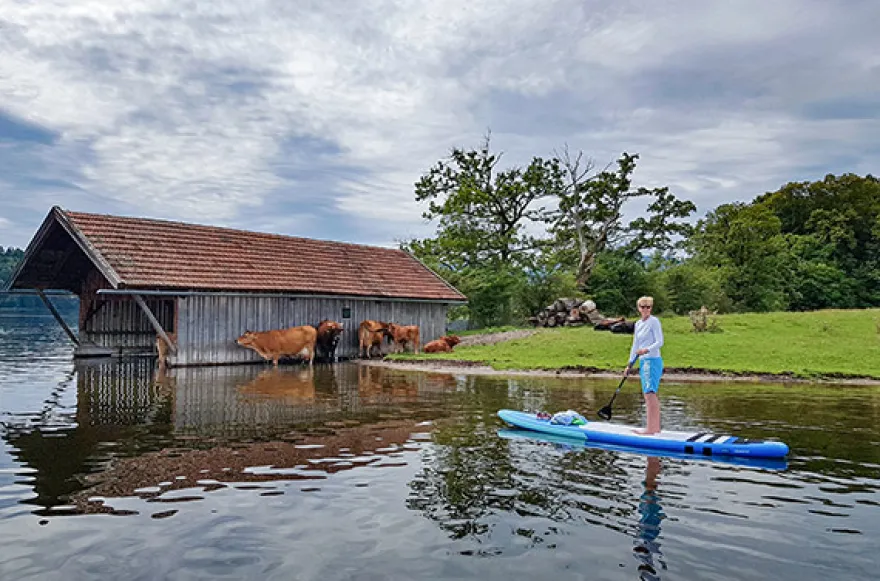 Stand Up Paddling Sightseeing-Tour
