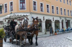 Städtereise Meißen für 2 (1 Nacht)