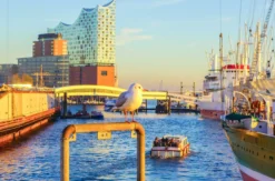 Städtetrip Hamburg mit Elbphilharmonie für 2