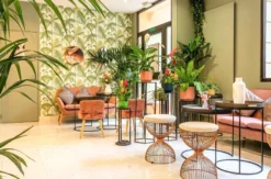 Städtetrip Paris für 2 (2 Nächte) - Hôtel Ariane Montparnasse