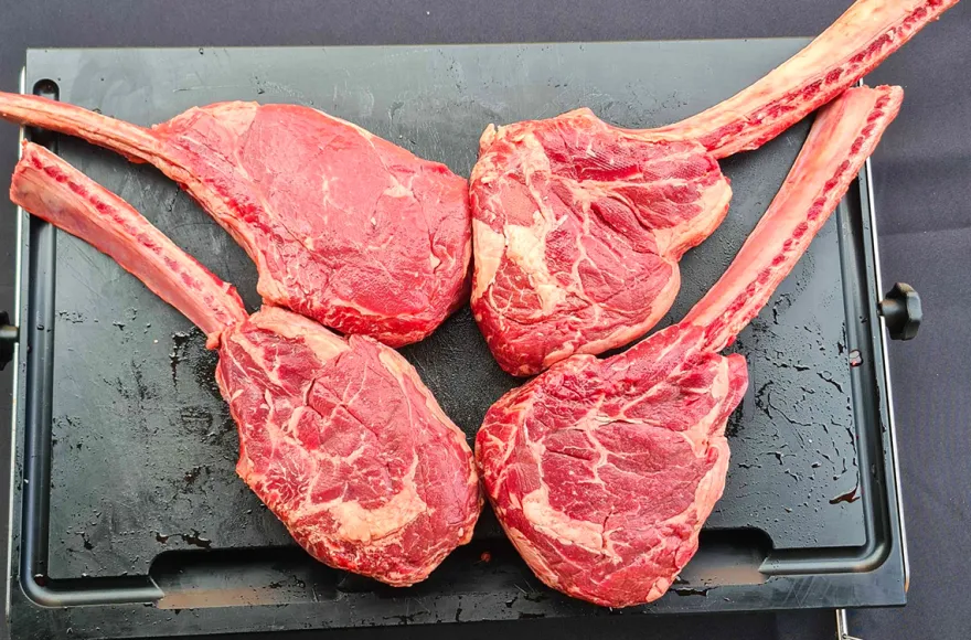 Steak Tasting Landshut