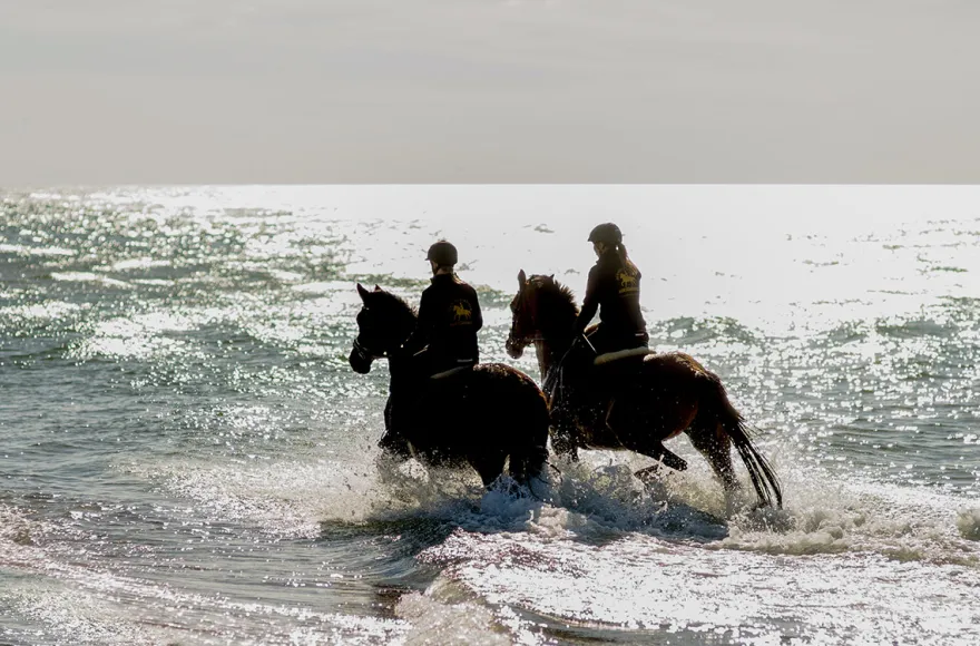 Strandritt Ostsee mit Probestunde Hirschburg (Okt. - Apr.)