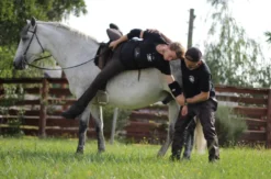 Stuntman Training Herrnhut